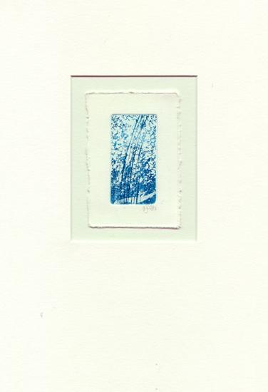 Zonder titel, 63 x 33 mm